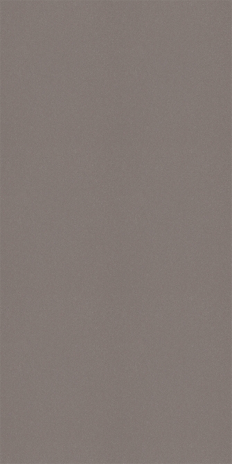 膚感絲緞銀(圖)