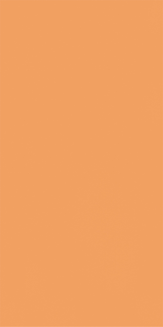 蜜橘蛋殼紋(圖)