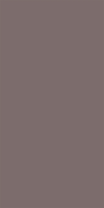 Silky Matte Taupe(Image)