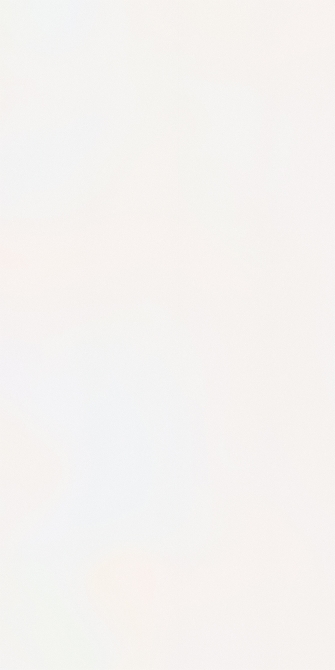 膚感鉑雪(圖)