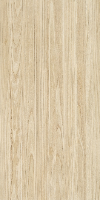Paulownia(Image)