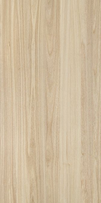 Paulownia(Image)