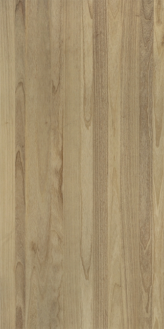 Paulownia(Image)