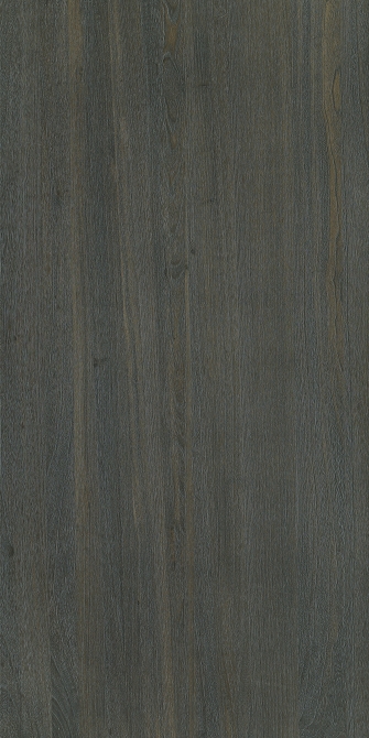 Paulownia(Image)