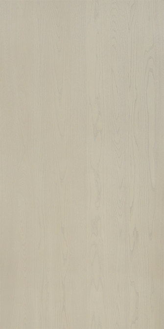 Elm(Image)