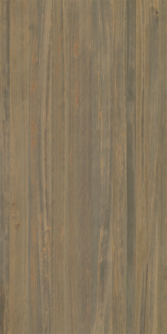 Cypress(Image)