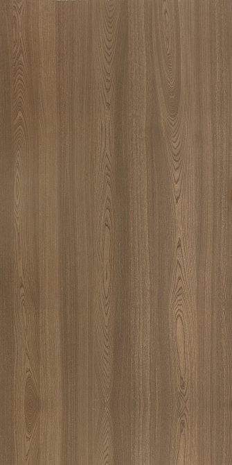 Red Elm(Image)
