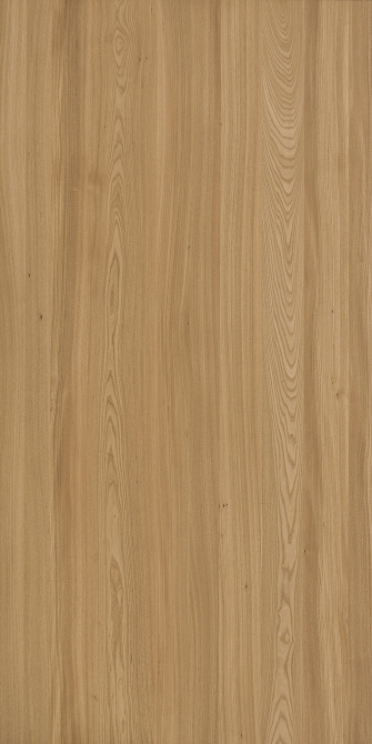 Red Elm(Image)