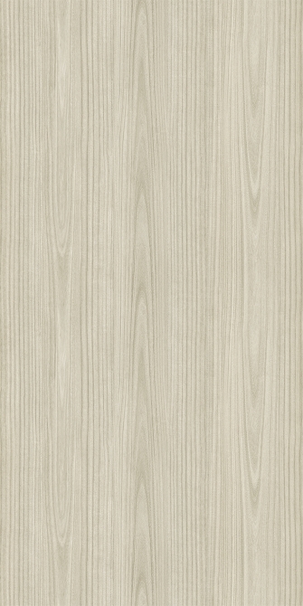 Paulownia - C.C.(Image)
