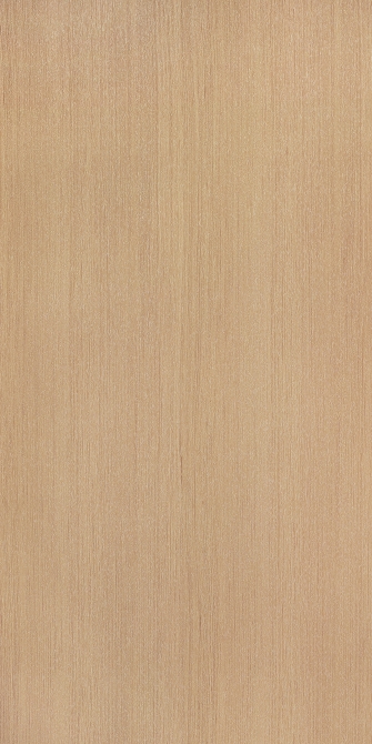白橡木(圖)