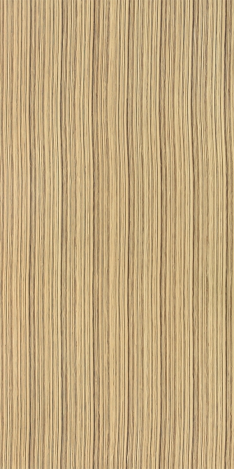 斑馬木(圖)