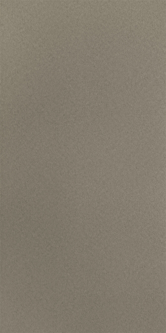 灰褐淺板岩石(圖)