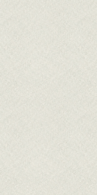 灰白板岩石(圖)