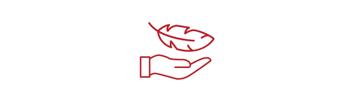 輕量化結構(圖示)