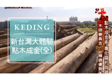 KD-2015-新台灣大體驗 點木成金(圖)
