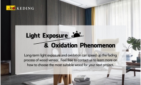 Light exposure & oxidation phenomenon(Image)