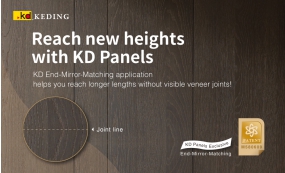Reach new heights with KD Panels(Image)