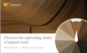 Discover the captivating charm of natural wood.(Image)