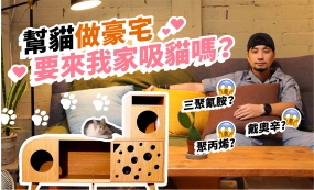 【超認真少年】塑膠取代原木傢俱 你摸的櫃子其實會致癌！貓奴新手木工製作特輯(圖)