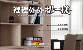 塗裝木皮板 vs. 批批櫥櫃板 裡裡外外都一樣(圖)